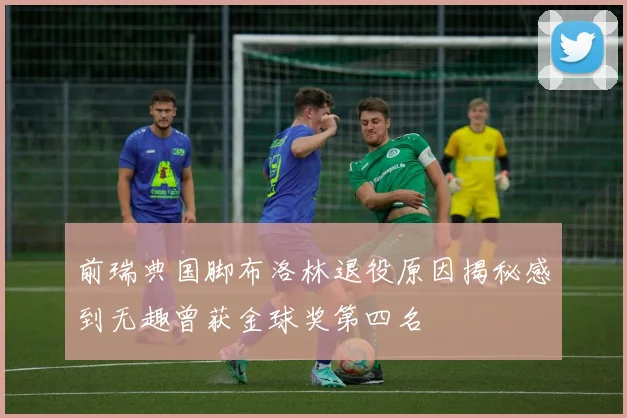 前瑞典国脚布洛林退役原因揭秘感到无趣曾获金球奖第四名